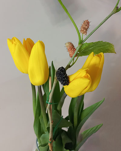 Тюльпаны и шелковица