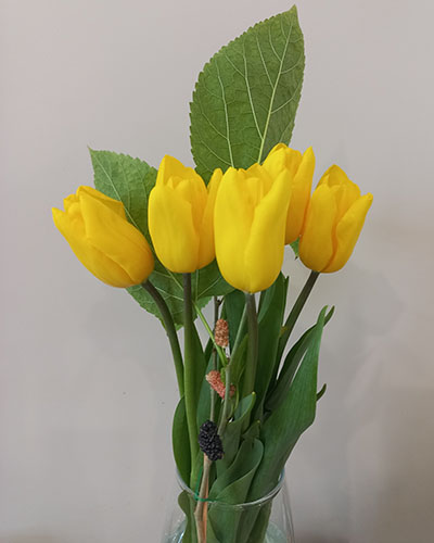 Тюльпаны и шелковица