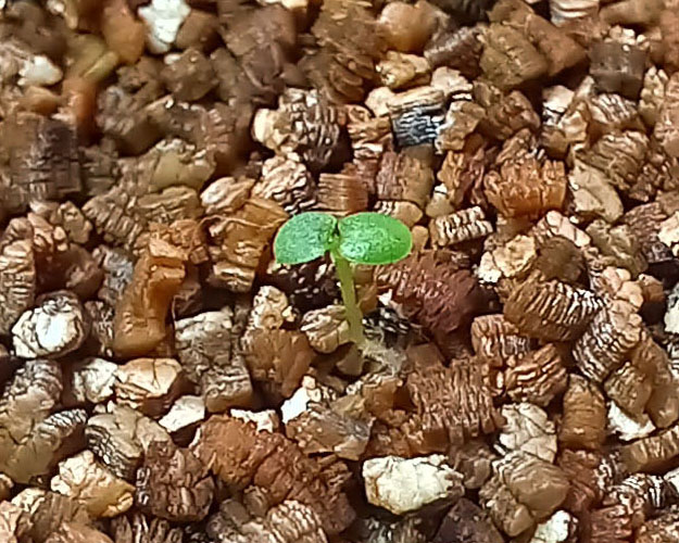 Времена года